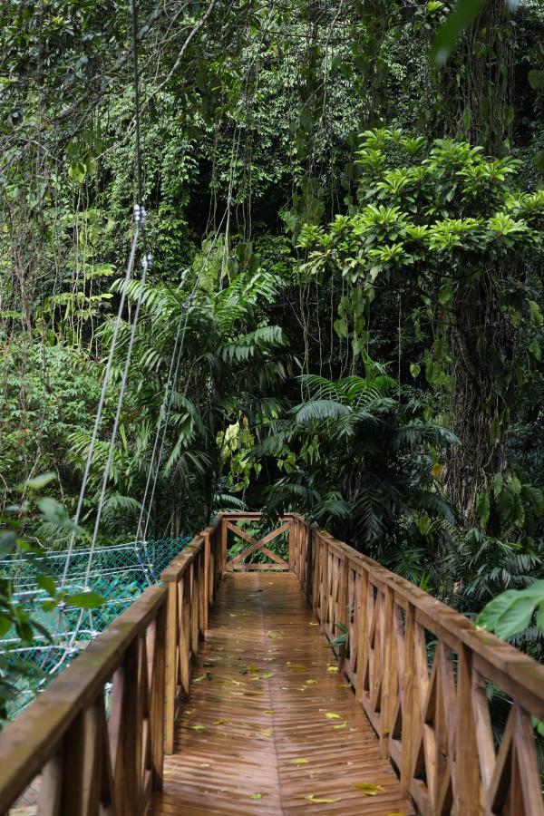 Jade Jungle Resort Teakettle Village Exteriér fotografie