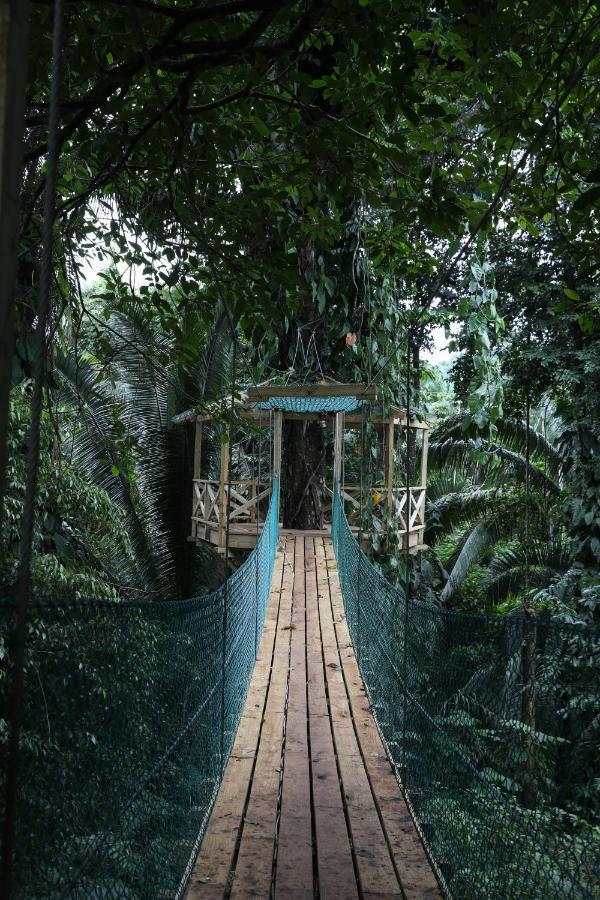 Jade Jungle Resort Teakettle Village Exteriér fotografie